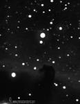 Nebulosa Cabeza de Caballo Barnard 33